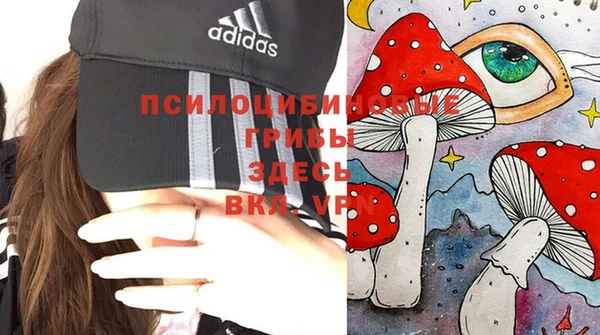 прущая мука Богородицк