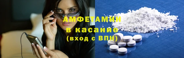 твердый Богданович