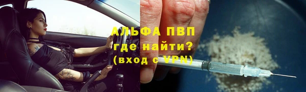 ECSTASY Белокуриха