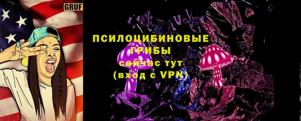 прущая мука Богородицк