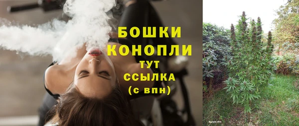 твердый Богданович