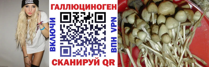 MEGA онион наркотики Болхов Псилоцибиновые грибы Magic Shrooms